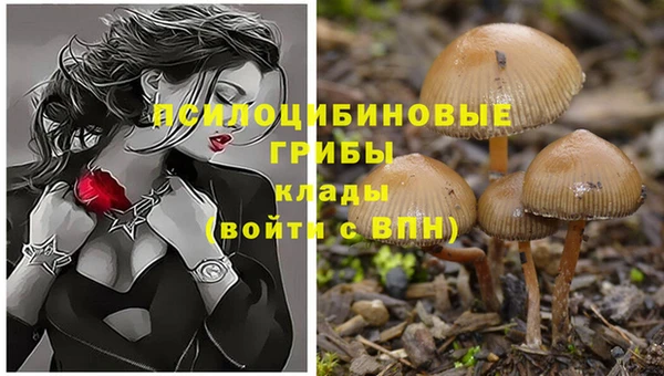 герыч Михайловск
