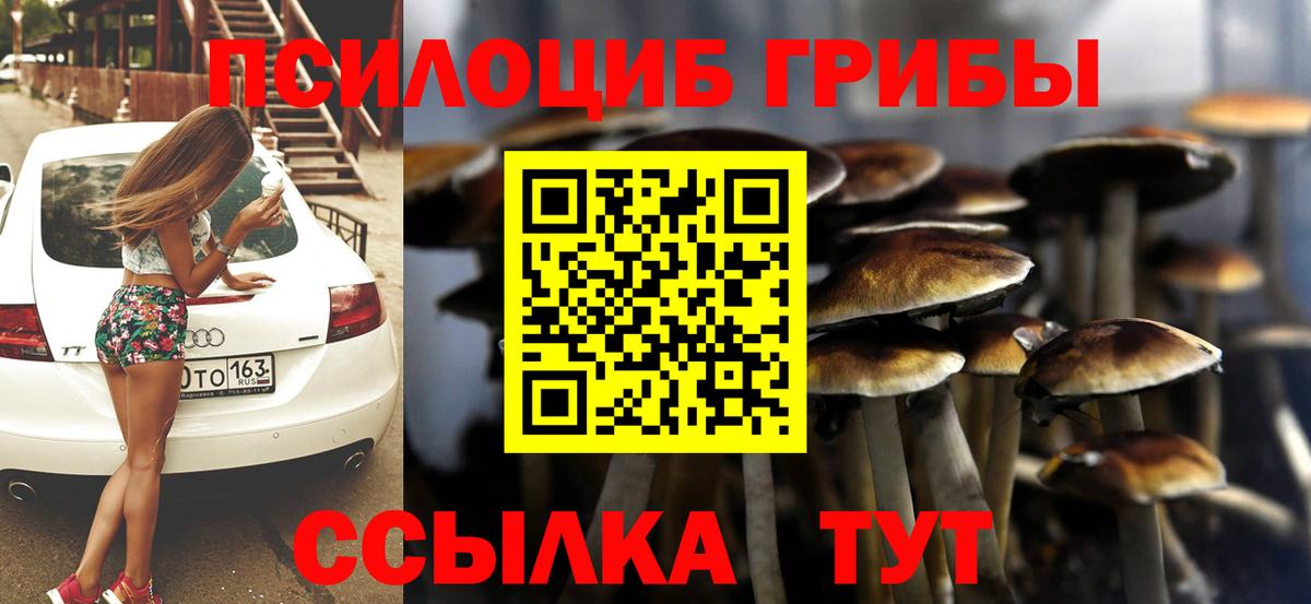 Псилоцибиновые грибы Psilocybe  Вход с VPN  Калач-на-Дону 